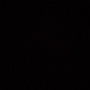 Meet your Posher, Daniela